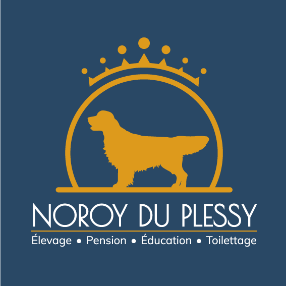 Noroy du Plessy | Logo