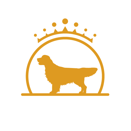 Noroy du Plessy